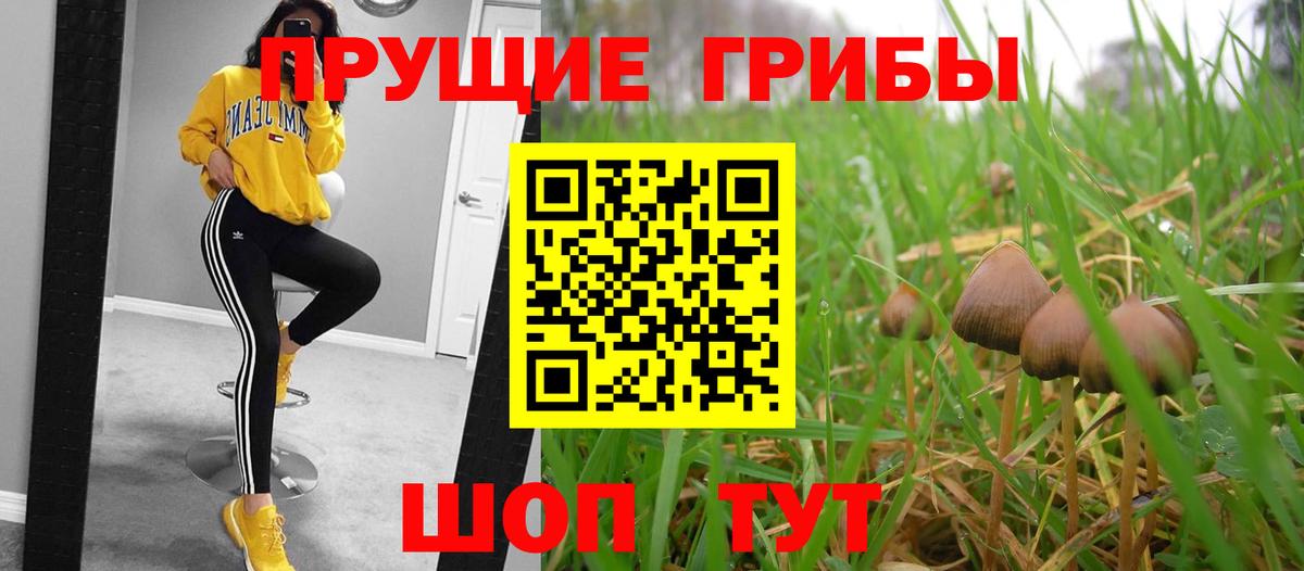 Галлюциногенные грибы MAGIC MUSHROOMS Междуреченск