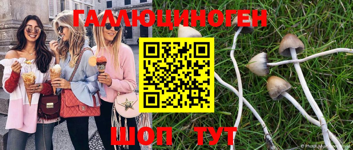 Междуреченск  Галлюциногенные грибы прущие грибы  Вход с VPN  Псилоцибиновые грибы Psilocybine cubensis 